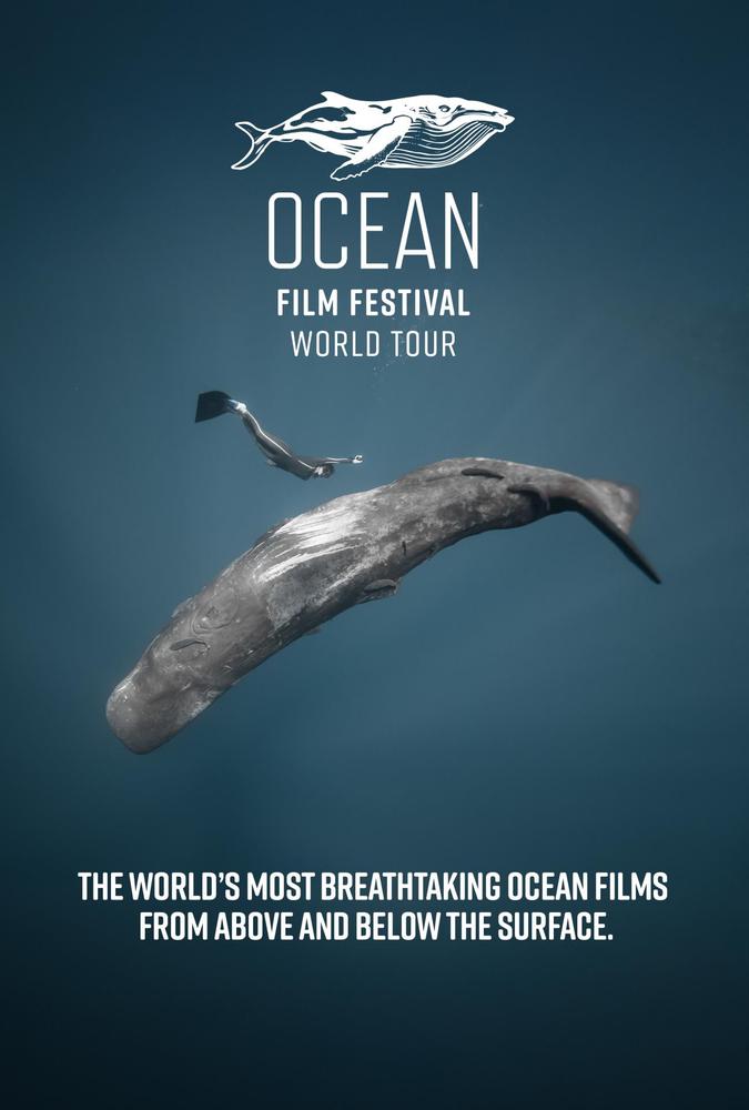 Ocean Film Festival